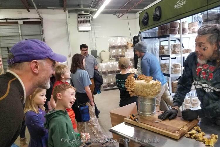 Learners from Acton Academy East Mountains private school near Albuquerque, New Mexico on a field trip to NM fungi and Los Poblanos.